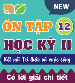 Ôn tập Học kỳ II (KNTT_T12)
